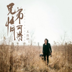 ดาวน์โหลดและฟังเพลง 兄弟情可贵 พร้อมเนื้อเพลงจาก 王朗坤