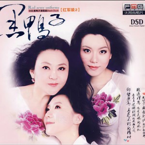 收听黑鸭子的常回家看看歌词歌曲