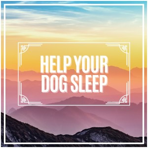 Help Your Dog Sleep