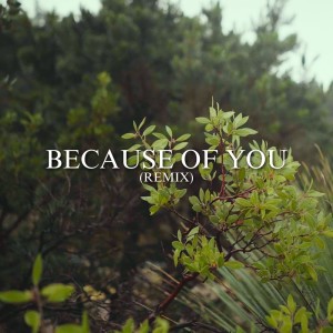 收聽Liberated Sound的Because of You (Remix)歌詞歌曲