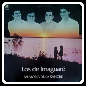 Listen to Taragüi Coe (Amanecer Correntino) song with lyrics from Los De Imaguaré
