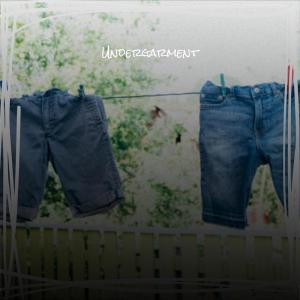 Album Undergarment oleh Various