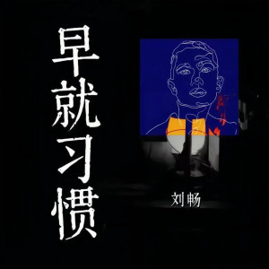 劉暢-霸道廠長i的專輯早就習慣