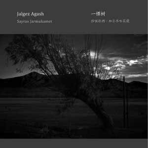 ดาวน์โหลดและฟังเพลง 一棵树 พร้อมเนื้อเพลงจาก 沙依拉西·加尔木哈买提