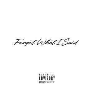 Album Forgot What I Said (Explicit) from 