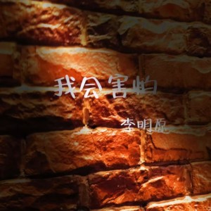Listen to 我会害怕 (伴奏) song with lyrics from 大海