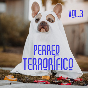 อัลบัม Perreo Terrorífico Vol. 3 (Explicit) ศิลปิน Various