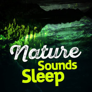 ดาวน์โหลดและฟังเพลง Wave Birds พร้อมเนื้อเพลงจาก Nature Sounds Sleep