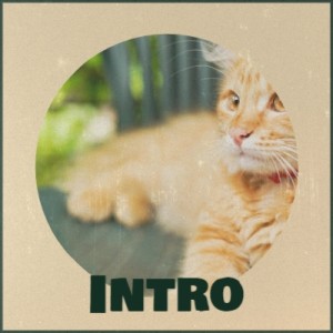 Dengarkan Shine (R & R Main Shine Mix) lagu dari DJ R&R dengan lirik