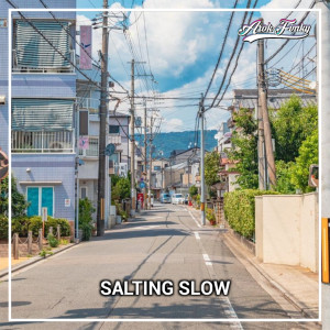 Album Salting Slow from Arok Fvnky