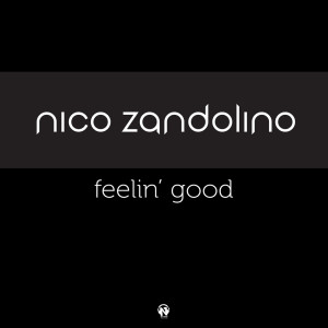 Listen to Feelin' Good song with lyrics from Nico Zandolino