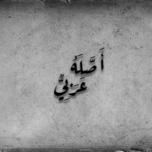 Listen to A-Star (Asslo Araby Round 2) (Explicit) song with lyrics from Rap or Die