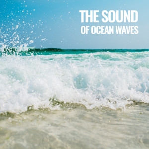 Album Sounds of Ocean Waves (Ocean Waves for Sleeping) oleh Ocean Sounds