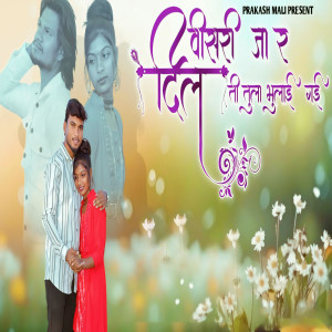 Album Visari Ja R Dil Ti Tula Bhulai Gai from 