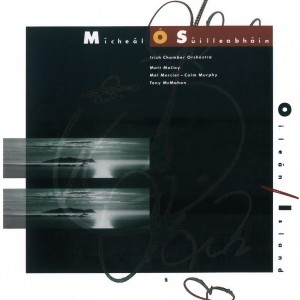 ดาวน์โหลดและฟังเพลง Heartwork พร้อมเนื้อเพลงจาก Micheál Ó Súilleabháin