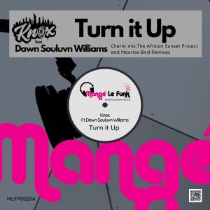 Listen to Turn it Up (Maurice Bird Instrumental Remix) song with lyrics from Knox