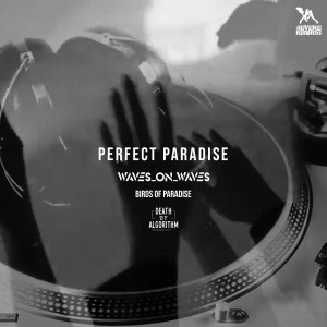 Waves_On_Waves的專輯Perfect Paradise