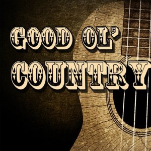 ดาวน์โหลดและฟังเพลง Here Comes the Night พร้อมเนื้อเพลงจาก Country Rock Party