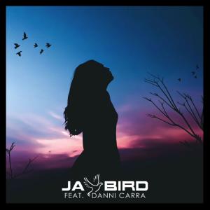 收听Jay Bird的Let You Down(feat. Danni Carra)歌词歌曲