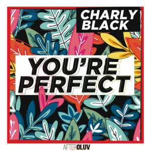 ดาวน์โหลดและฟังเพลง You're Perfect พร้อมเนื้อเพลงจาก Charly Black