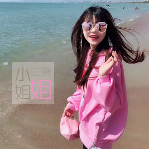 Album 小姐姐 oleh 二薇