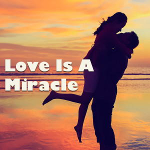 Various Artists的专辑Love Is A Miracle