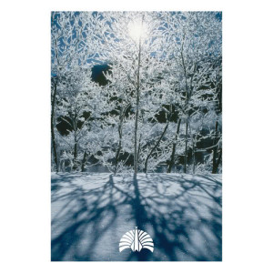 東京事變的專輯The Reverberation / Fly Me To Heaven