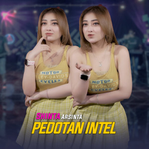 Dengarkan Pedotan Intel lagu dari Shinta Arsinta dengan lirik