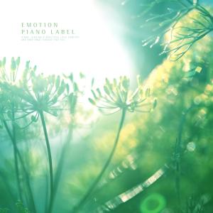 Various Artists的专辑Sweet Piano Collection With The Sound Of Grass Insects (Nature Ver.)