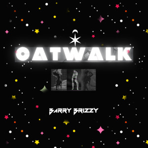 Barry Brizzy的專輯Catwalk (Explicit)