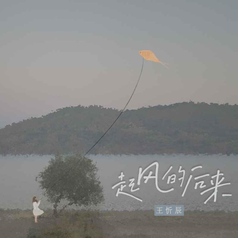 起风的后来 (DJ版)