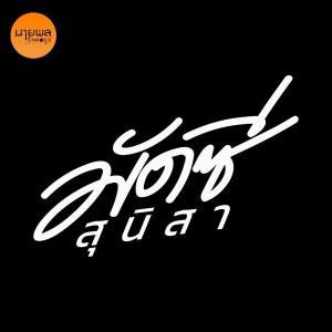 收听มัดซี สุนิสา的สตอรี่ขี้ตั๋ว歌词歌曲