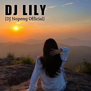 DJ Nopeng Official的專輯Dj Lily (Remix)