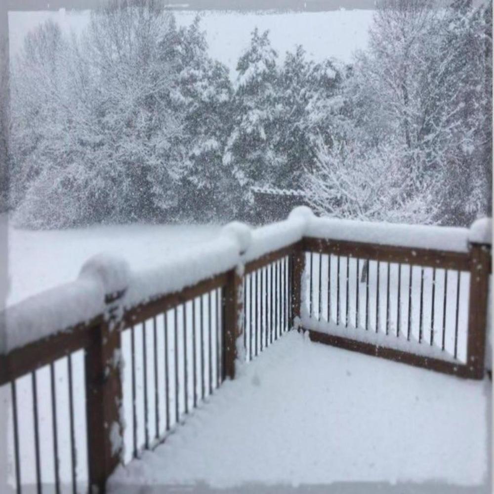 Snow in February (Bestfriend)