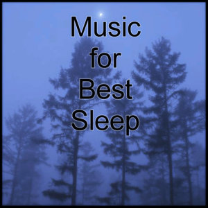 收聽Sleep Music Laboratory的Music for Peaceful Sleep "Garden" (Healing Remix)歌詞歌曲
