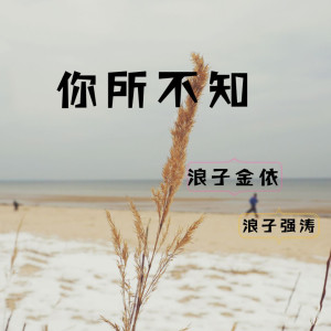 收聽夏藝韓的你所不知 (伴奏)歌詞歌曲