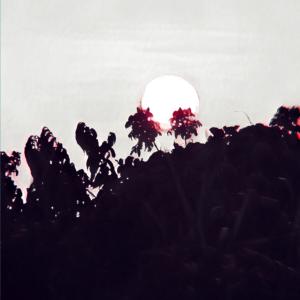 收聽Önigirisu的Red Walls歌詞歌曲