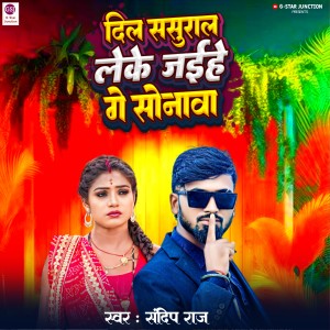 Listen to DIL Sasural Leke Jaih Ge SONAWA song with lyrics from Sandeep Raj