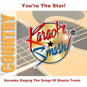 收聽Studio Group的Party For Two (karaoke-version) As Made Famous By: Shania Twain and Mark Mcgrath歌詞歌曲
