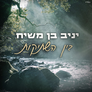Listen to בין השתיקות song with lyrics from יניב בן משיח
