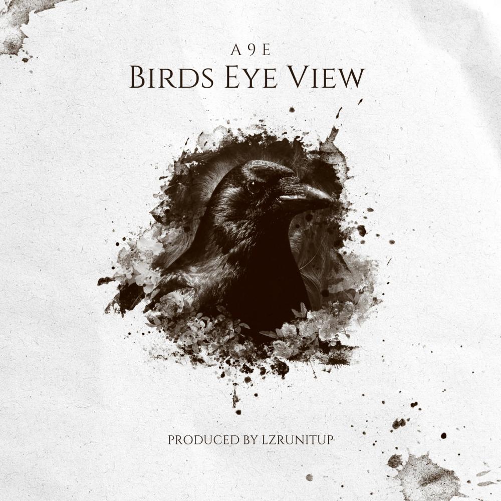 Birds Eye View (Explicit)