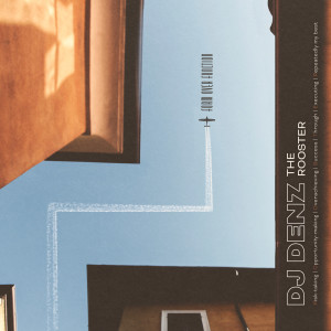 Album Form over Function from DJ DENZ The Rooster