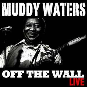 收聽Muddy Waters的Everything Gonna Be Alright (Live)歌詞歌曲