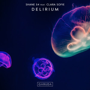 收听Shane 54的Delirium (Extended Mix)歌词歌曲