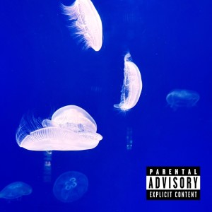 อัลบัม Sweaty Hands (feat. liio) ศิลปิน Kedy