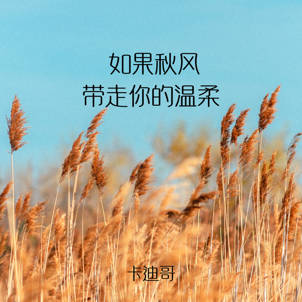 如果秋风带走你的温柔 (伴奏)