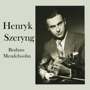收听Royal Concertgebouw Orchestra的Violin Concerto in D Major, Op. 77: I. Allegro non troppo歌词歌曲