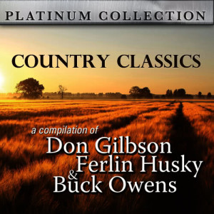 ดาวน์โหลดและฟังเพลง Country Music is Here to Stay พร้อมเนื้อเพลงจาก Various