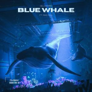 收聽Delcherro的Blue Whale歌詞歌曲