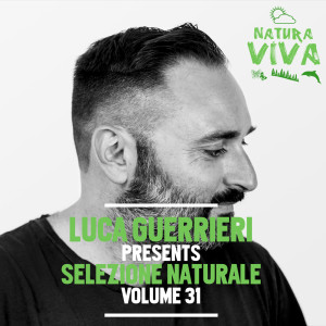 Various Artists的專輯Luca Guerrieri Pres. selezione naturale, Vol. 31